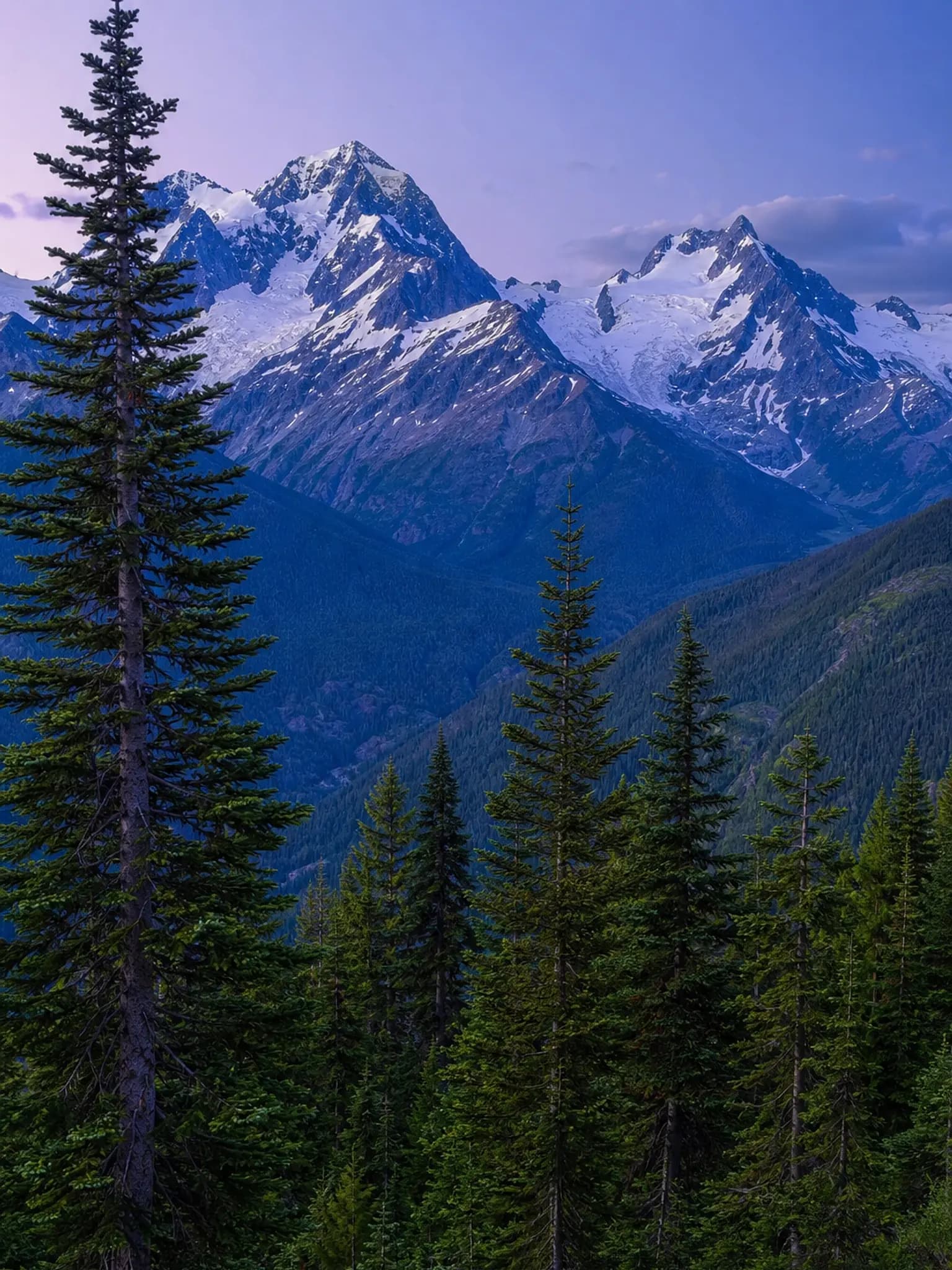 Alpine landscape with crisp tree and rock detail